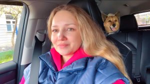 ВЛОГ Едем гулять с собакой на КИПАРИСОВОЕ ОЗЕРО !