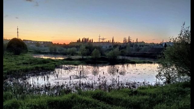 О. Мандельштам.  Из омута, злого и вязкого...