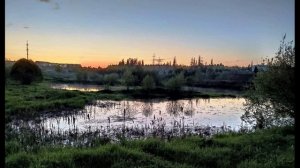 О. Мандельштам.  Из омута, злого и вязкого...