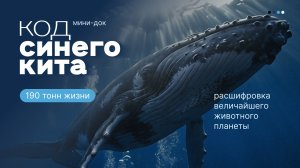 Синий кит и динозавры: кто действительно крупней?