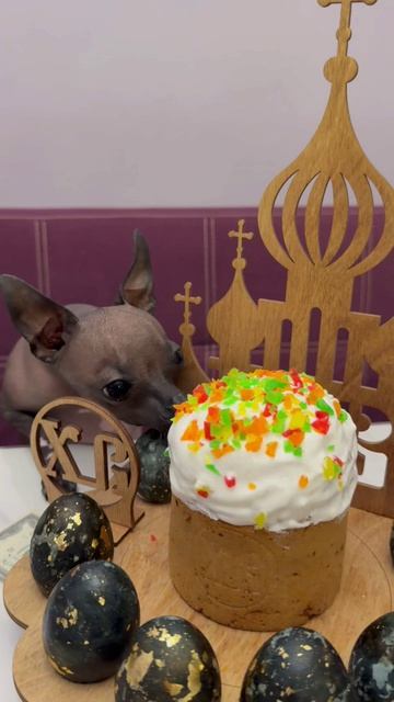 #пасха #кулич #собака #мия
