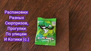 Распаковки Разных Сюрпризов, Прогулки по Улицам и Котики (с.)