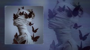 Трэй, VitalyQ - Эйфория (Официальная премьера трека)