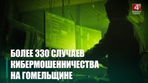 БОЛЕЕ 330 СЛУЧАЕВ КИБЕРМОШЕННИЧЕСТВА НА ГОМЕЛЬЩИНЕ