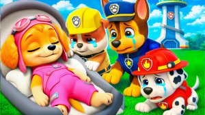 ЩЕНЯЧИЙ ПАТРУЛЬ СПАСАТЕЛЬНЫЕ МИССИИ СКАЙ МАРШАЛ ЧТО СЛУЧИЛОСЬ в МАЙНКРАФТ МУЛЬТИК