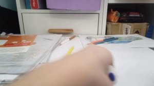 Тигрёнок с пандой подружились