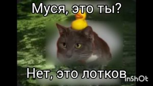 ЛОВИТЕ НОВЫЙ МЕМ С МУСЕЙ