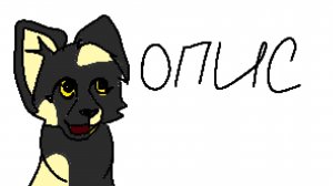 Моя группа в Макс (опис)