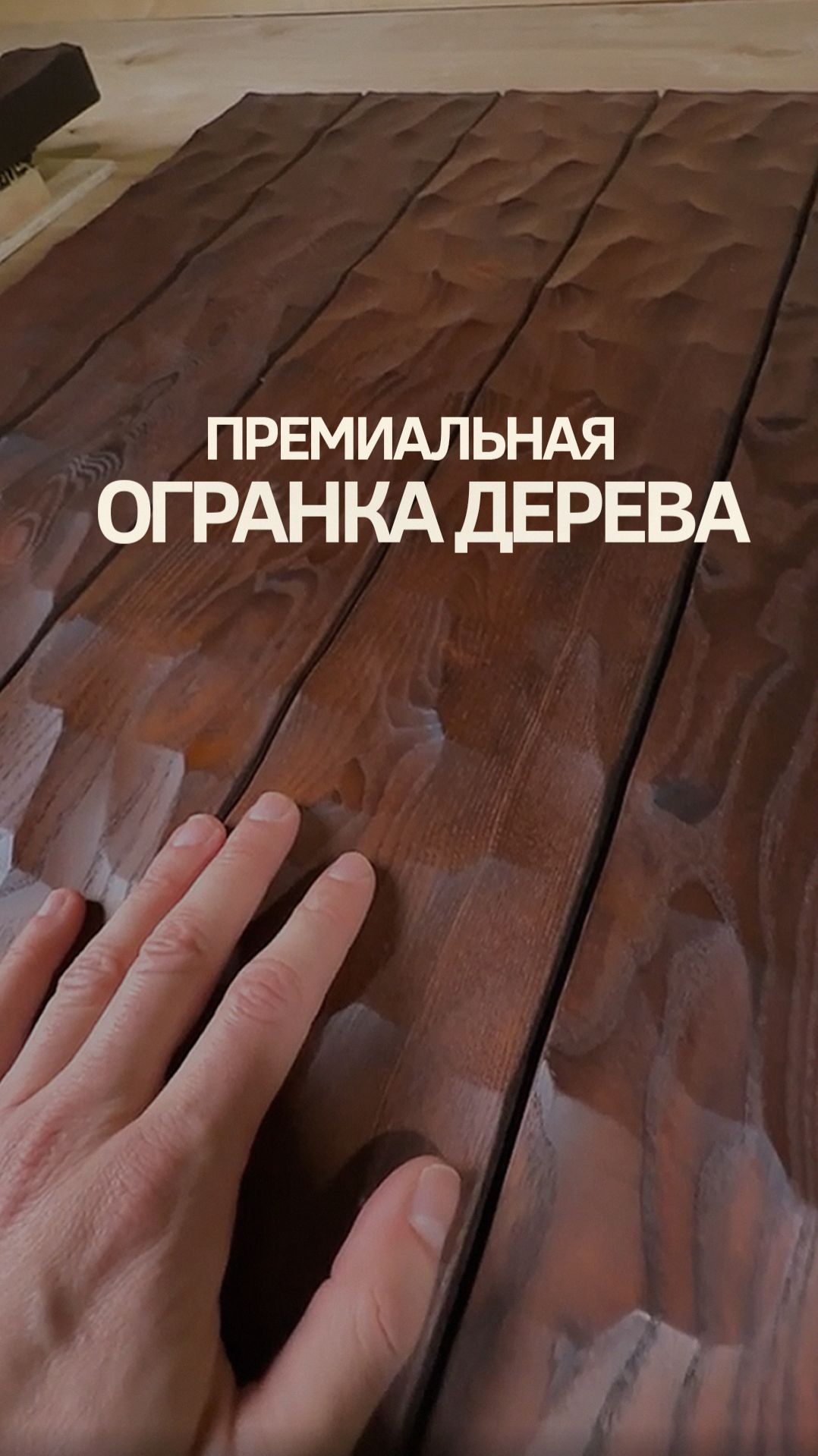 Текстура дерева, в которую я влюбился.