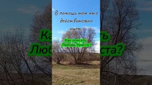 Какая у Спасителя любовь 🪉 Стихи Ермолова С.