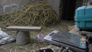 Наркосбытчик из Батайска, выращивавший коноплю в подвале своего дома, задержан транспортной полицией