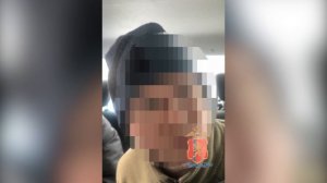 У двух наркоагрономов из Красноярска полицейские изъяли 152 куста конопли и более 10 кг её частей