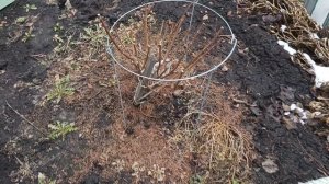 Влог#193наша жизнь.Палецкова.Приехали домой.