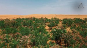 Delta Computers | Природа технологий