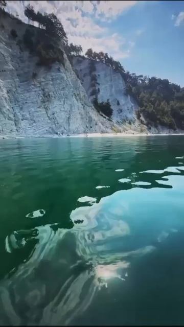 Геленджик, Голубая бездна, дельфины