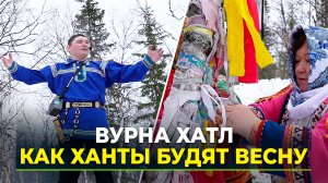 Ворона прилетела – весну принесла