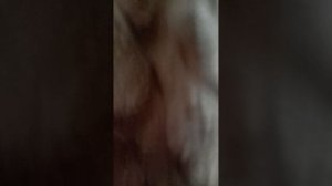 обзор игры в огурец