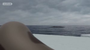 Touchy-FeelyㅣSEALOOKㅣEP.80