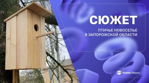 Доброта на Запорожье в тренде