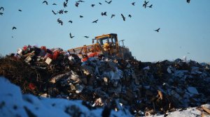 Житель Перми задушил беременную девушку и бросил тело на свалке