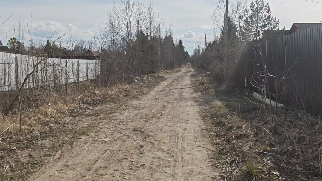 20-04-2026.Дача..Вышла за забор))(11.04.-12.04.26)