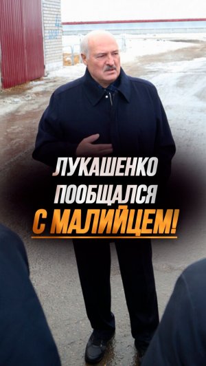 Лукашенко: Думаю, Фёдорович тебе проблем не создаёт! Работает хорошо? #shorts