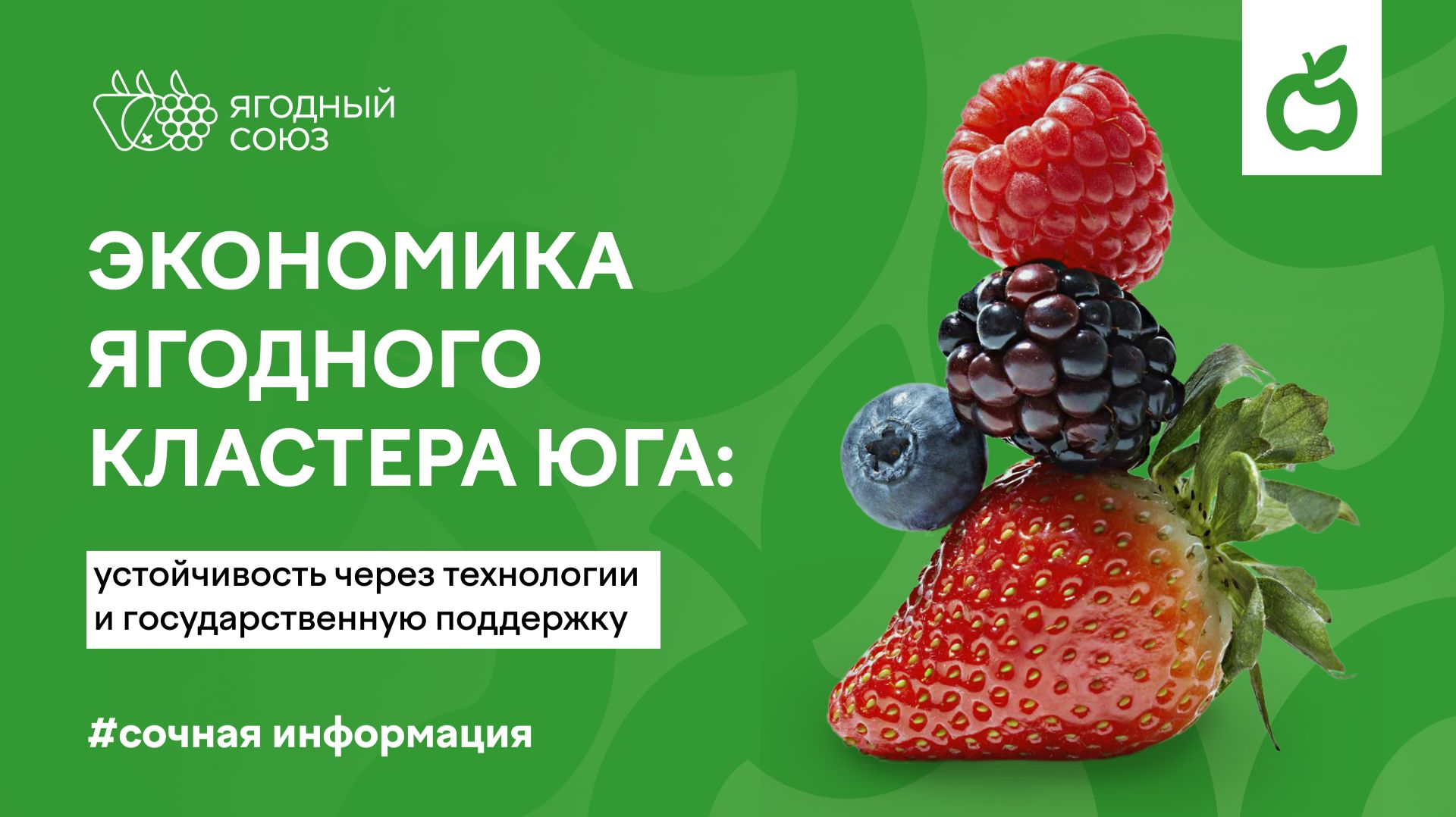 Экономика ягодного кластера Юга: устойчивость через технологии и государственную поддержку
