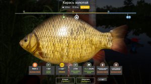 КАРАСЬ ЗОЛОТОЙ ТРОФЕЙ!!!КОМАРИНОЕ - РУССКАЯ РЫБАЛКА 4