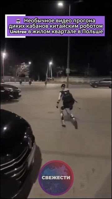 🤖  Необычное видео прогона диких кабанов китайским роботом Unitree в жилом квартале в Польше