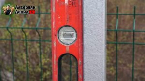 Установка одноплоскостной шпалеры (14.04.2024) (Видеоблог Давида Алверцяна)