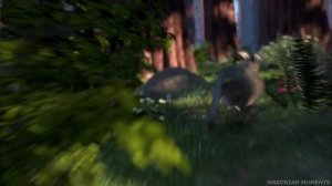 Шрек спасает Осла от королевской стражи Шрек (2001)