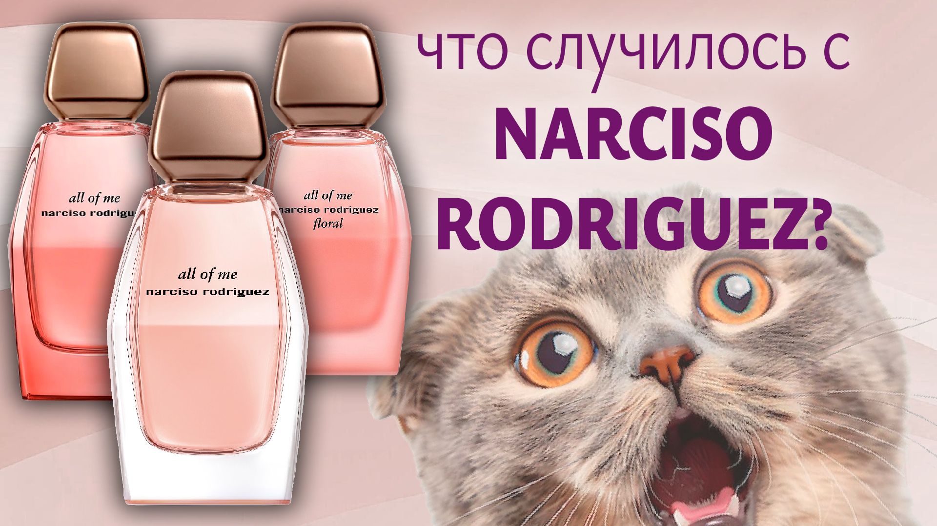 Что случилось с Narciso Rodriguez?