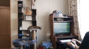 Видео которое я скрывал 3 месяца...