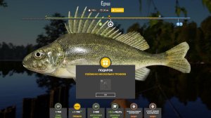 ЕРШ ТРОФЕЙНЫЙ!!!КОМАРИНОЕ ОЗЕРО - РУССКАЯ РЫБАЛКА 4