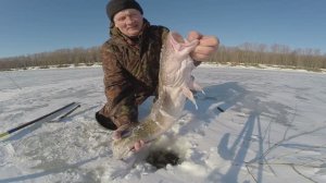 Рыбалка в Сибири. Часть 104: конец подледного сезона.