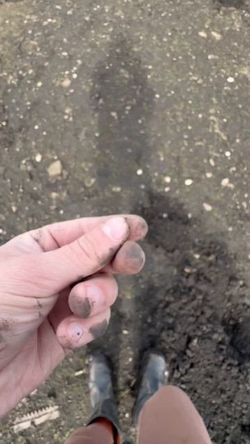 Какое хобби у вас?