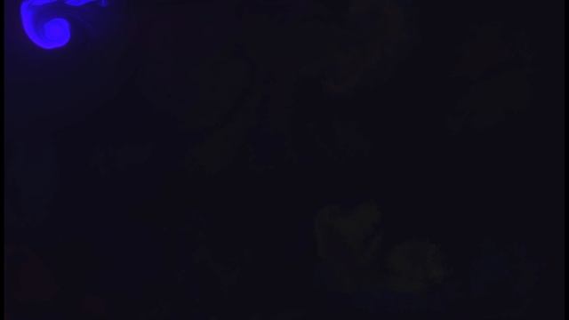 TOP ASMR NO TALKING MAGIC SOUND AND EXTRAVISION