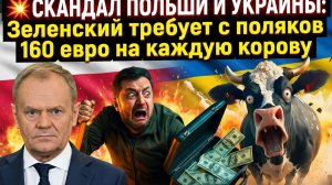 💥 СКАНДАЛ ПОЛЬШИ И УКРАИНЫ: Зеленский требует с поляков 160 евро на каждую корову