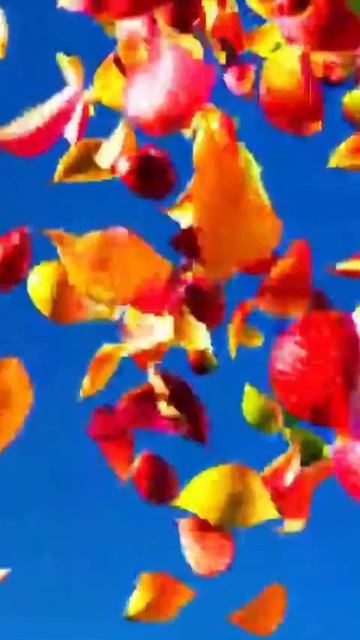 #офицальнаястраницадлявас #информация #сообщество #обратнаясвязь #развитие #акции