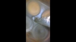 WHLU5841198-JM2605403-0