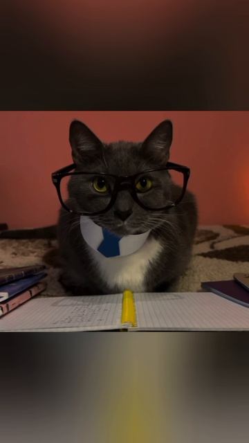 Геннадий Петрович Wa Wa Wa Wa