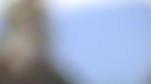 20)ДЖЕМЕТЕ ПЛЯЖ ВЕРБЛЮД(2011 ГОД АВГУСТ)