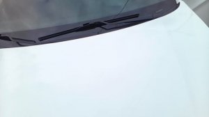 1000131079.mp4