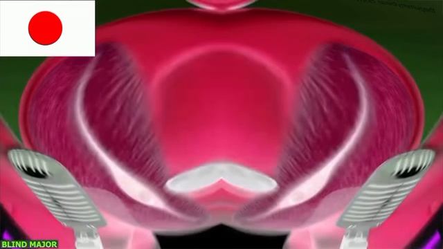 Гумибер на японском от Team bahay