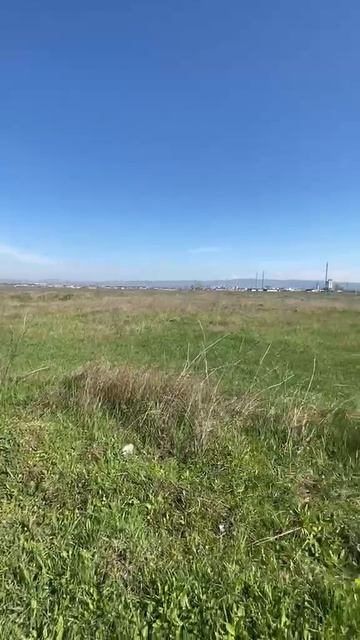 WhatsApp Video 2026-04-10 at 11.19.58