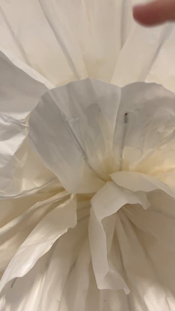 Оформление свадьбы. Ошибки при монтаже