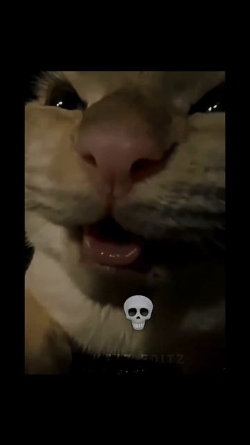 подпишись и поставь лайк👍