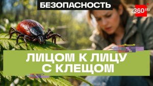 Клещи проснулись раньше времени или как весенняя прогулка может обернуться опасностью