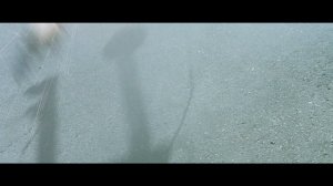 Don Tobol & Rusakov - Slow Down / Eight Legged Freaks