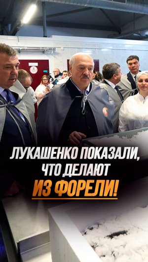 Лукашенко: Девчата, вы сами эту рыбу едите? // Как перерабатывают ФОРЕЛЬ? #shorts